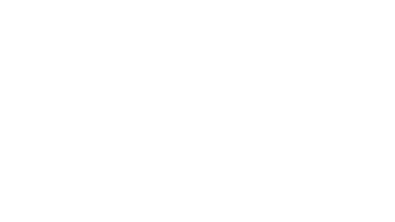 Speedy Garage Door Repair Logo white